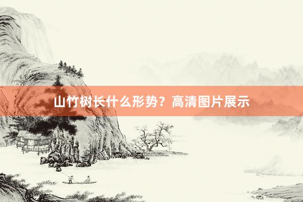 山竹树长什么形势？高清图片展示